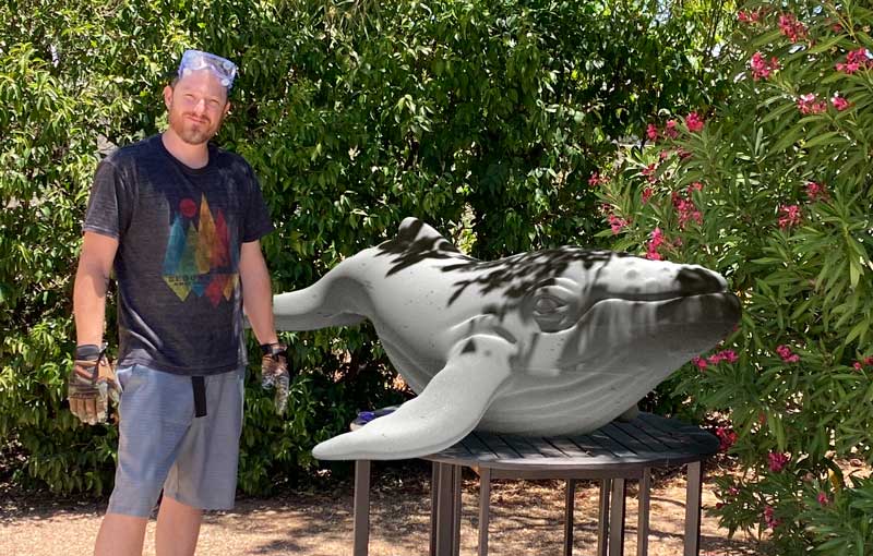 brad-table-whale