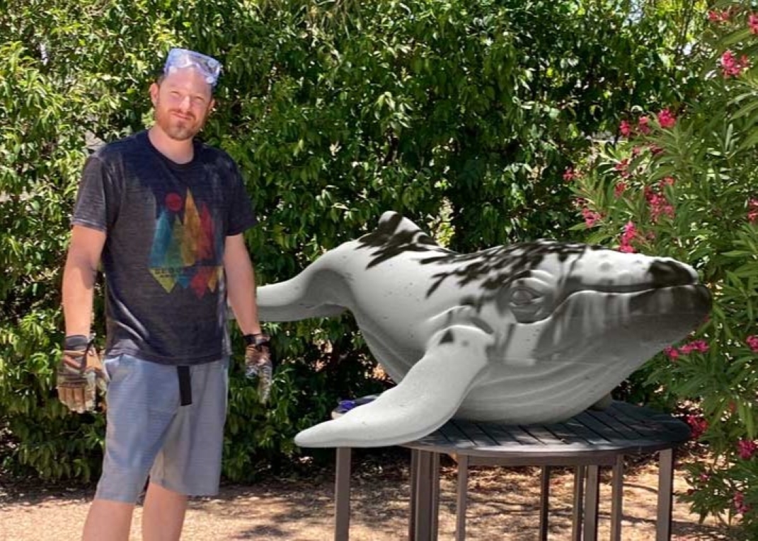 brad-table-whale